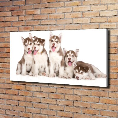 Print pe pânză catelusi Husky