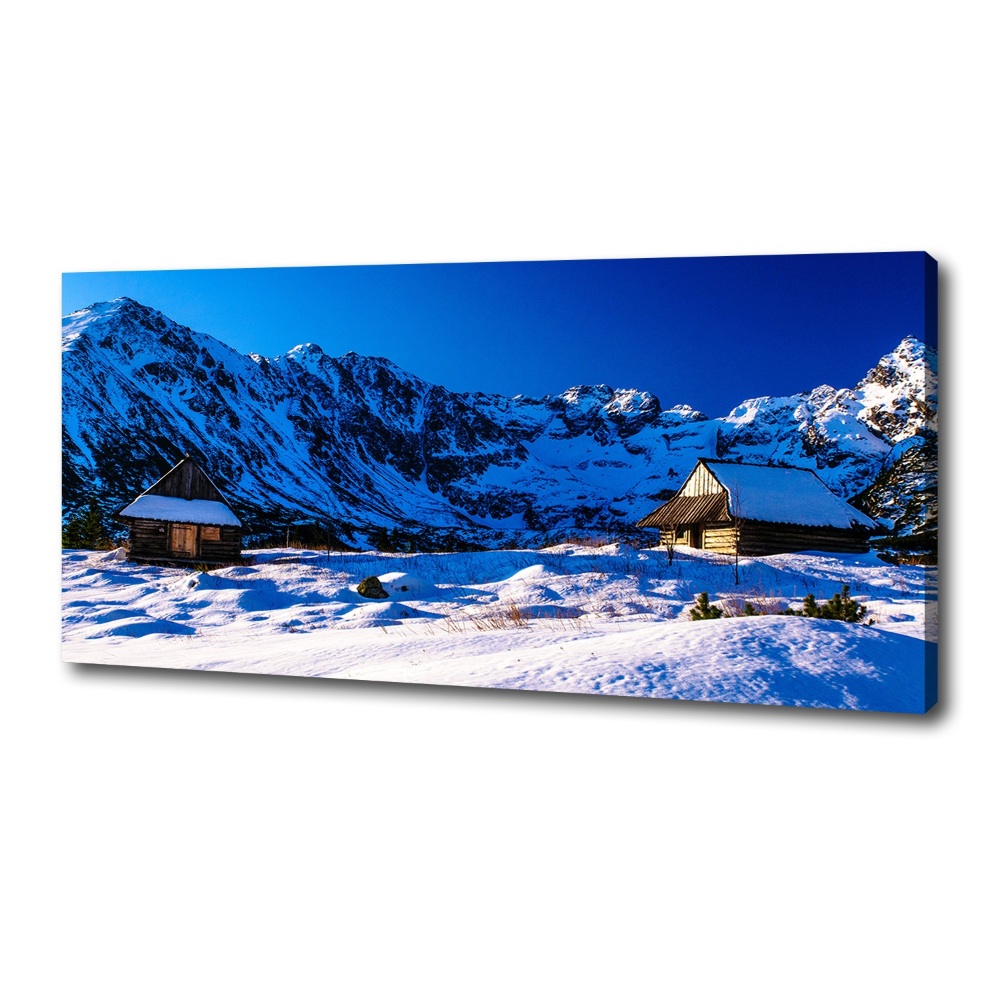 Tablou canvas Case în munții Tatra