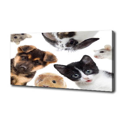 Print pe canvas Animale de companie