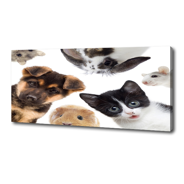 Print pe canvas Animale de companie