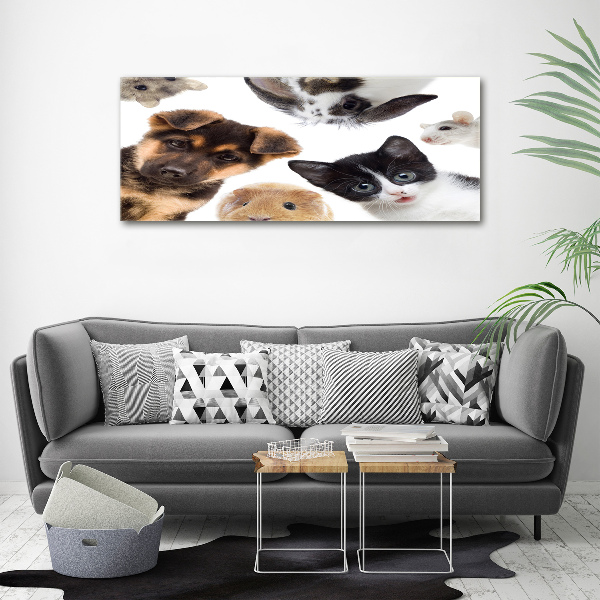 Print pe canvas Animale de companie
