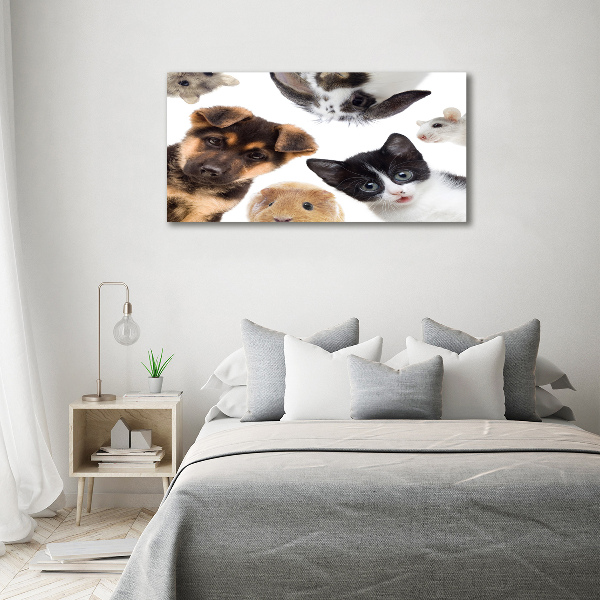 Print pe canvas Animale de companie