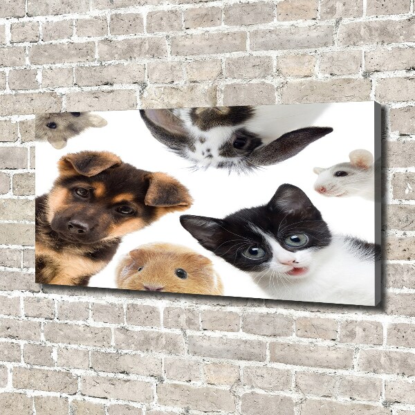 Print pe canvas Animale de companie