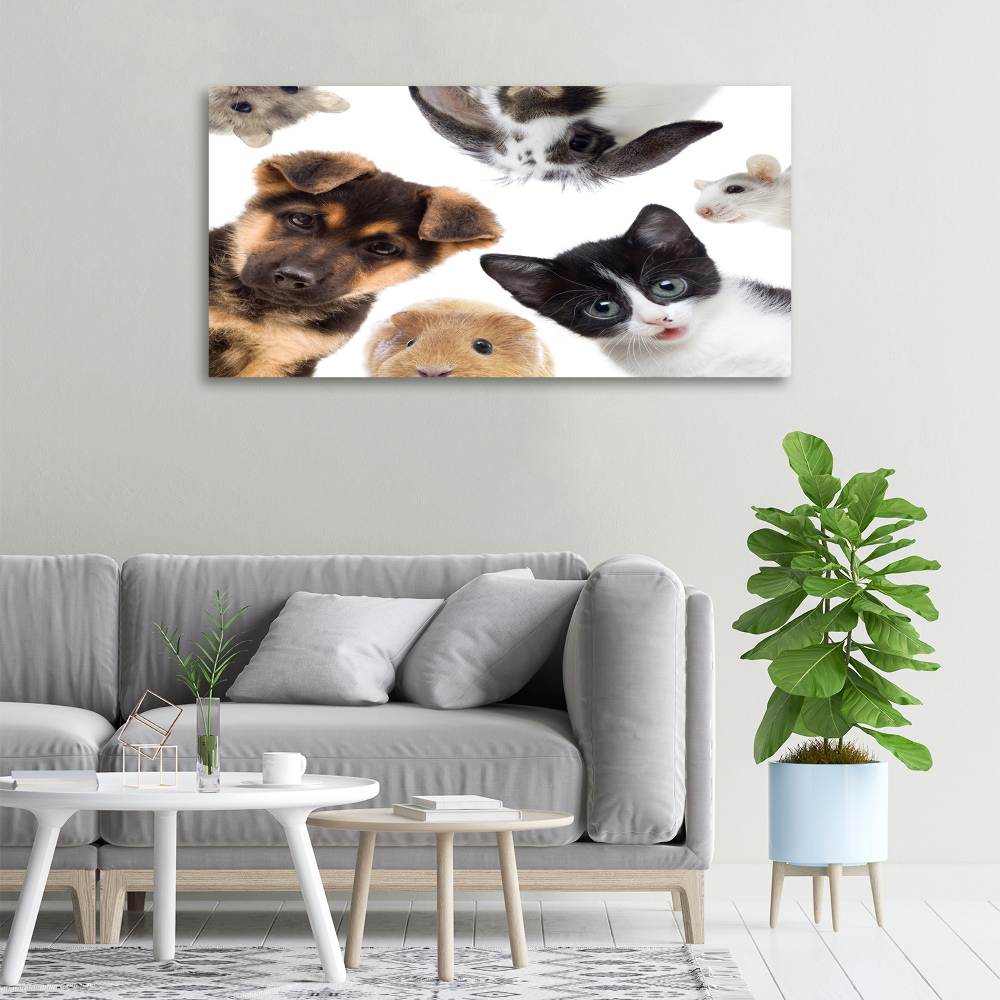 Print pe canvas Animale de companie