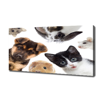 Print pe canvas Animale de companie