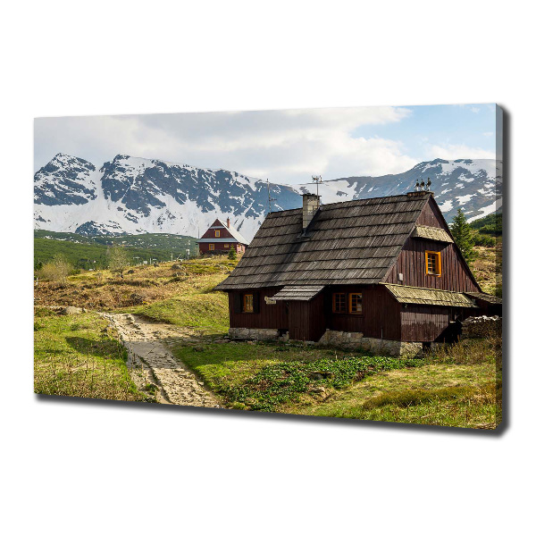 Print pe canvas Hale Tatry