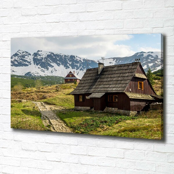 Print pe canvas Hale Tatry