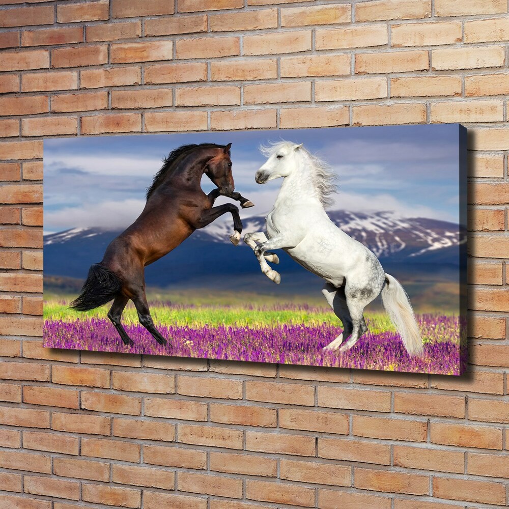 Tablou canvas cai de luptă în avans