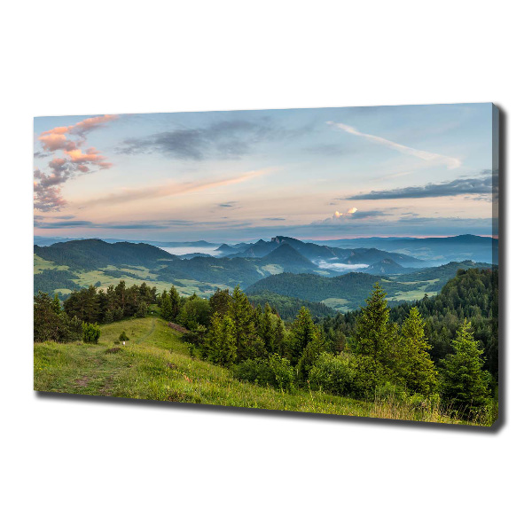 Tablou pe pânză canvas Panorama Pieniny