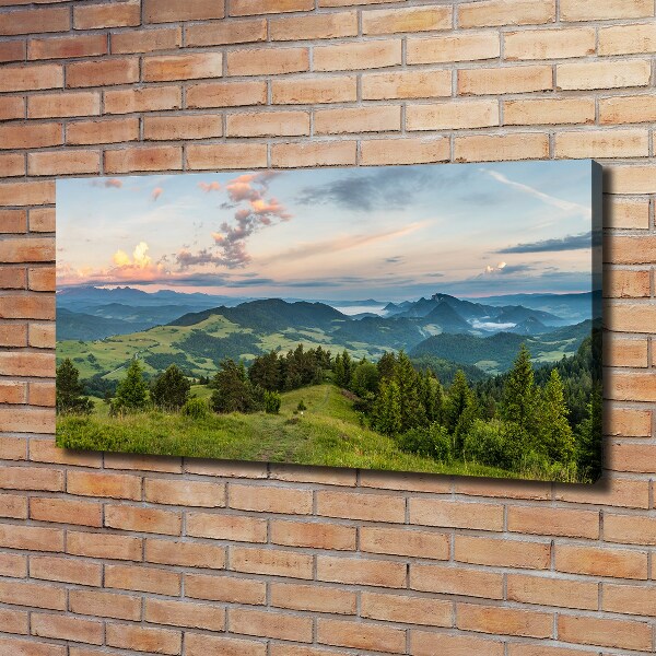 Tablou pe pânză canvas Panorama Pieniny