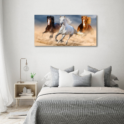 Tablou canvas Caii în deșert