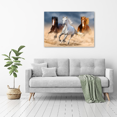 Tablou canvas Caii în deșert