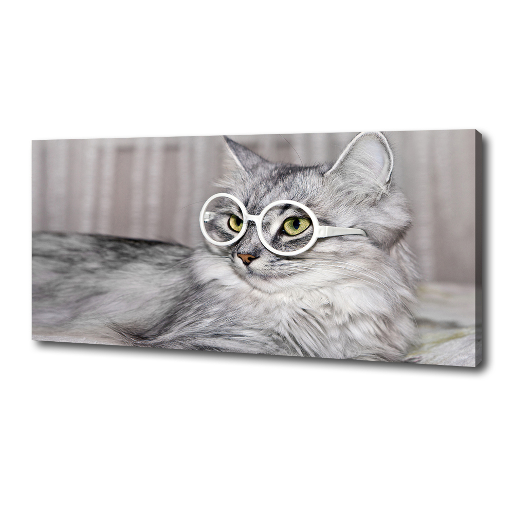 Tablou pe pânză canvas Cat cu ochelari