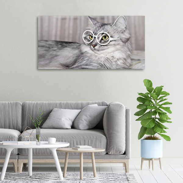 Tablou pe pânză canvas Cat cu ochelari