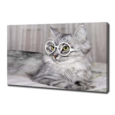 Tablou pe pânză canvas Cat cu ochelari
