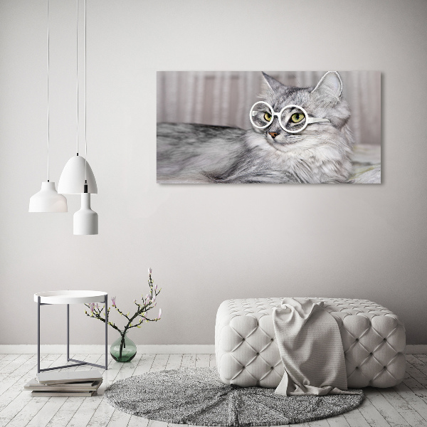 Tablou pe pânză canvas Cat cu ochelari