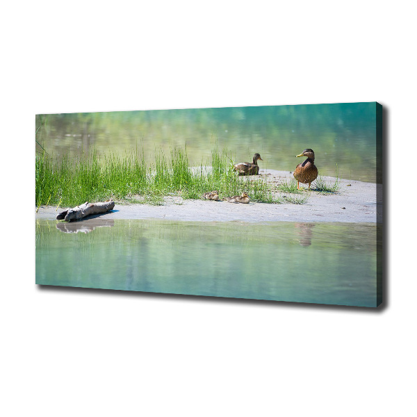 Imprimare tablou canvas Ducks de apă