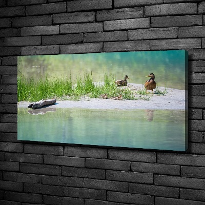 Imprimare tablou canvas Ducks de apă