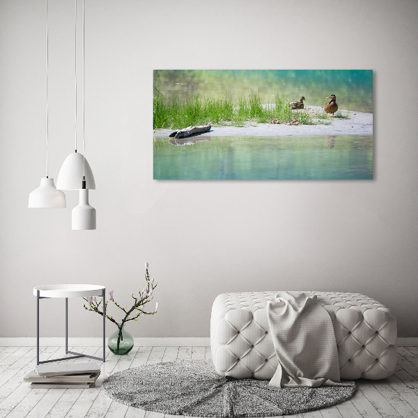 Imprimare tablou canvas Ducks de apă