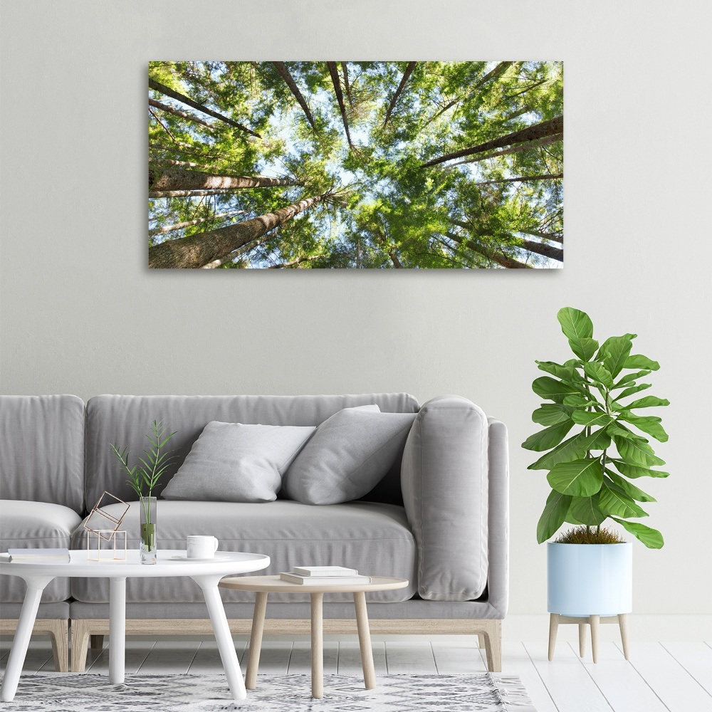 Imprimare tablou canvas ramuri superioare ale unui copac