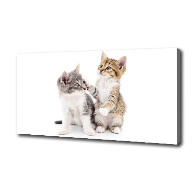 Print pe canvas Două pisici de talie mică