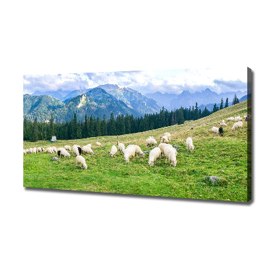 Tablouri tipărite pe pânză Oi în munții Tatra
