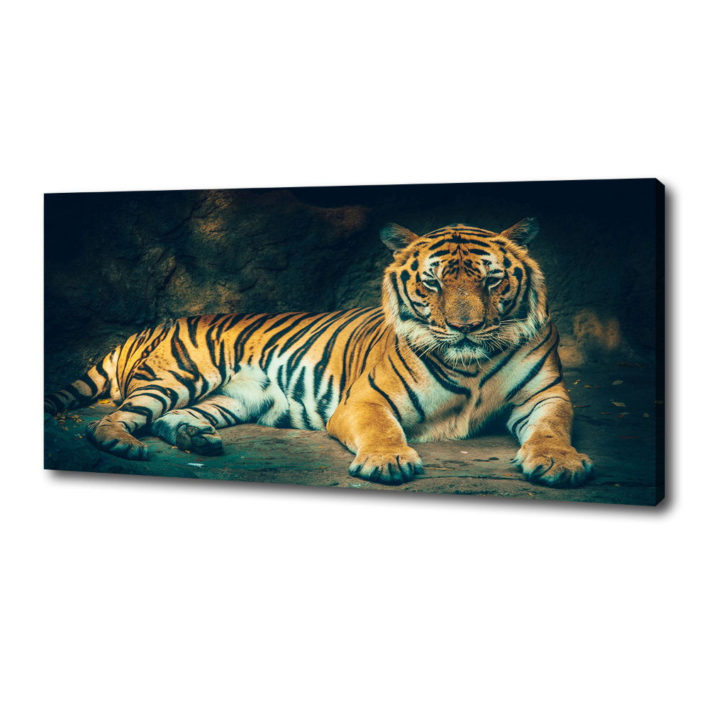 Print pe canvas Tiger Cave