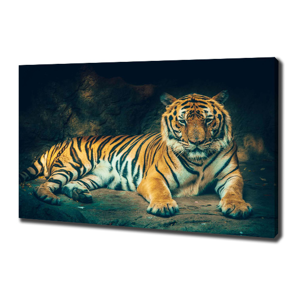 Print pe canvas Tiger Cave