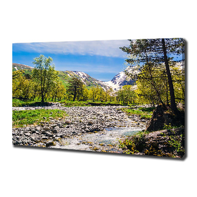 Tablou pe pânză River în munți