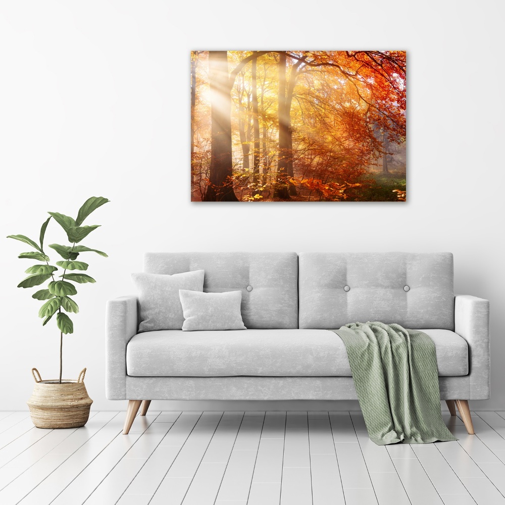 Imprimare tablou canvas pădure de toamnă