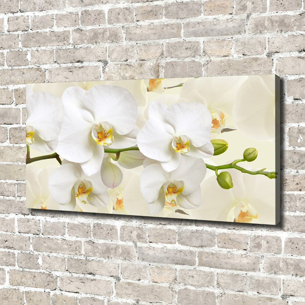 Pictură pe pânză Orhidee