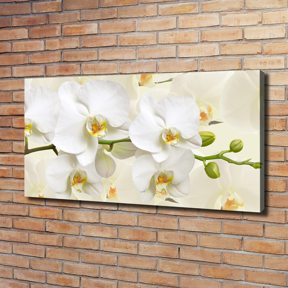 Pictură pe pânză Orhidee