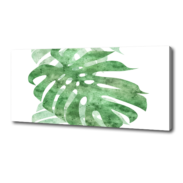 Print pe canvas Monstera