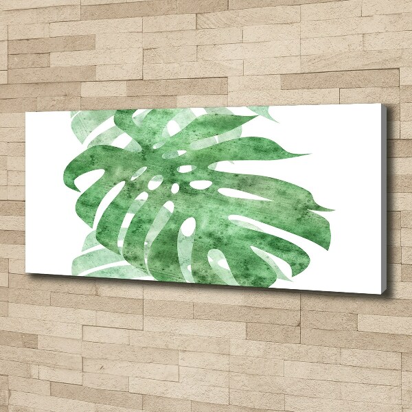 Print pe canvas Monstera