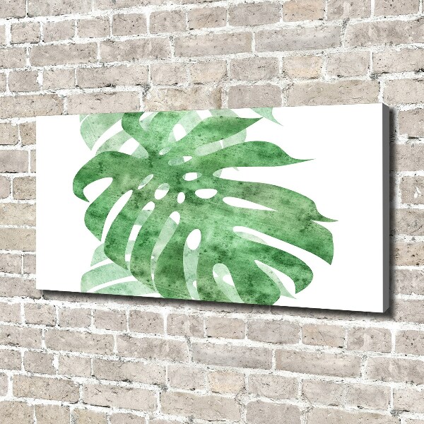 Print pe canvas Monstera