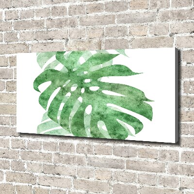 Print pe canvas Monstera