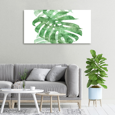 Print pe canvas Monstera