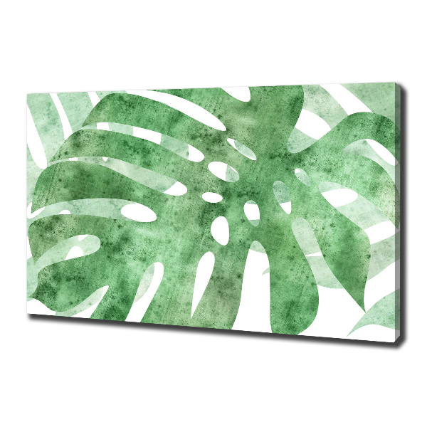 Print pe canvas Monstera