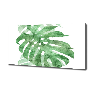 Print pe canvas Monstera