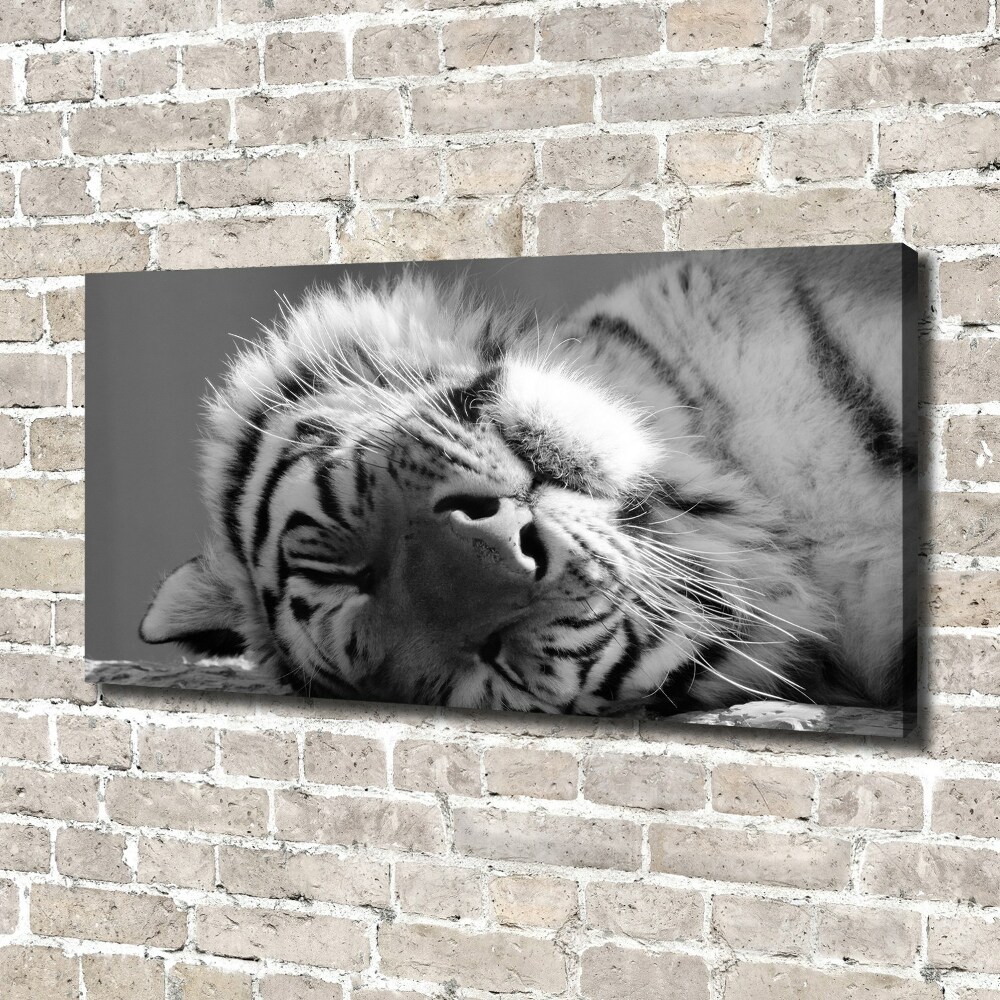 Tablou pe pânză canvas dormit tigru
