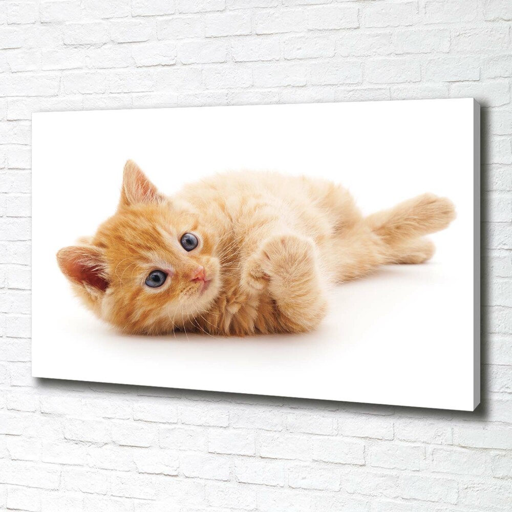 Tablou pe pânză canvas Red Cat