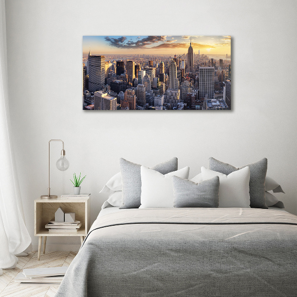 Tablou canvas New York pasăre de zbor