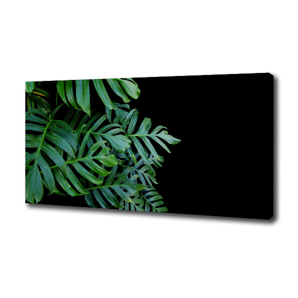 Tablou pe pânză canvas Monstera