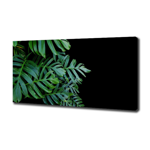 Tablou pe pânză canvas Monstera