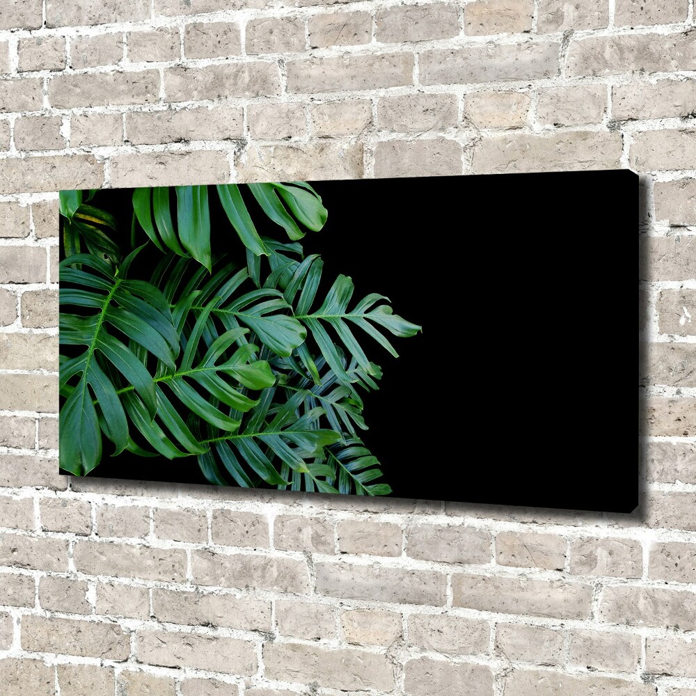 Tablou pe pânză canvas Monstera