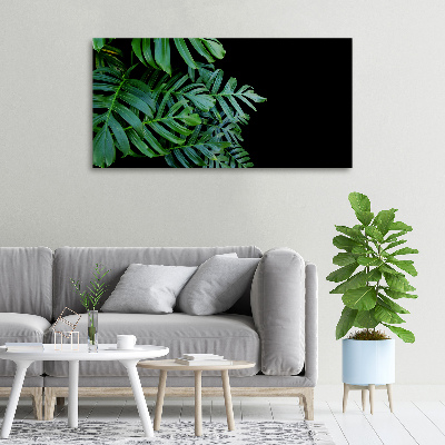 Tablou pe pânză canvas Monstera