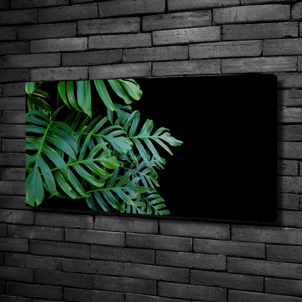 Tablou pe pânză canvas Monstera