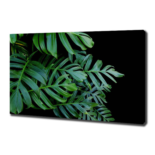 Tablou pe pânză canvas Monstera