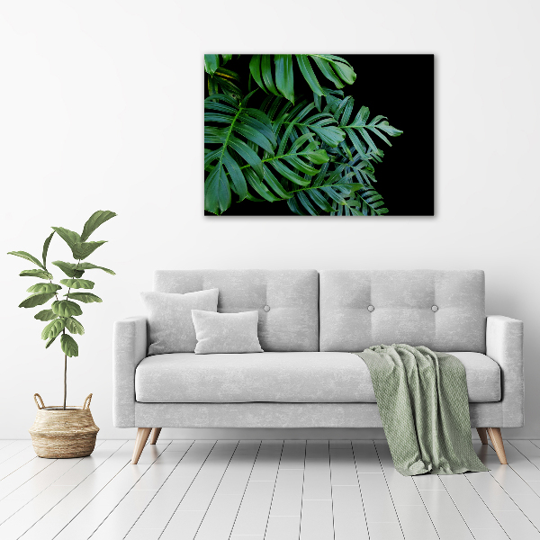 Tablou pe pânză canvas Monstera