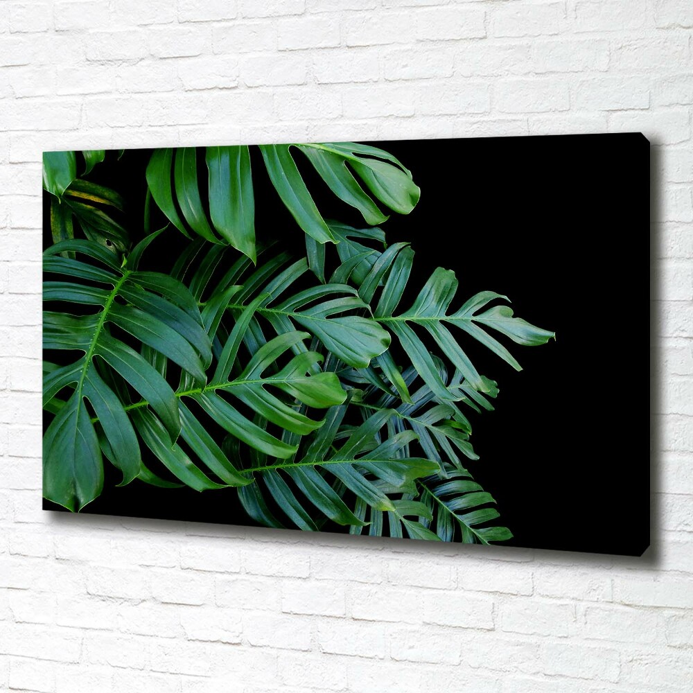 Tablou pe pânză canvas Monstera